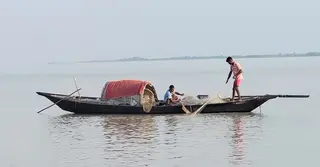 পদ্মায় ইলিশের সংকট: বিপাকে মানিকগঞ্জের জেলে পরিবার
